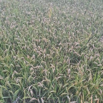 fotonoticia_20250827121028_1920 fotonoticia_20250827121028_1920