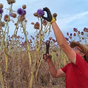 fotonoticia_20250828100320_1920