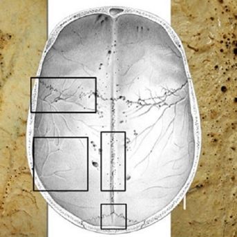 fotonoticia_20250828114629_1920