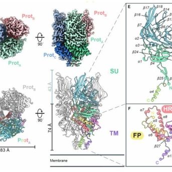 fotonoticia_20250828130801_1920