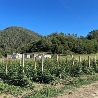 fotonoticia_20250828132657_1920