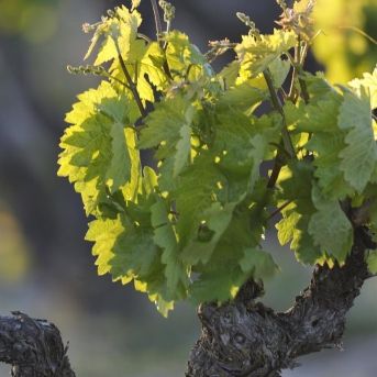 fotonoticia_20250828142756_1920 fotonoticia_20250828142756_1920