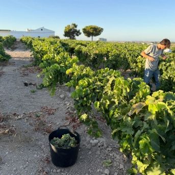 fotonoticia_20250828183152_1920