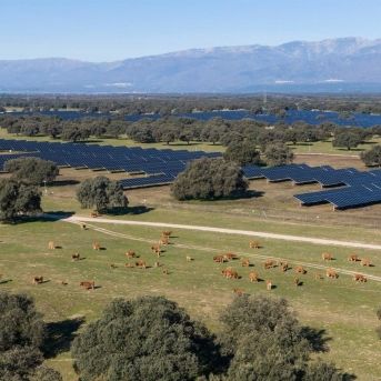 fotonoticia_20250829103144_1920 fotonoticia_20250829103144_1920