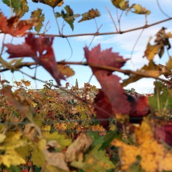 fotonoticia_20250829172848_1920 fotonoticia_20250829172848_1920