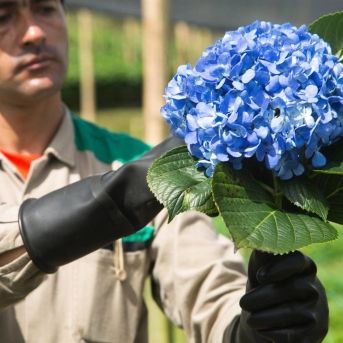 fotonoticia_20250902190002_1920