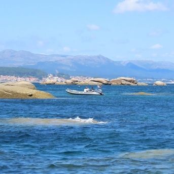 fotonoticia_20250902193810_1920