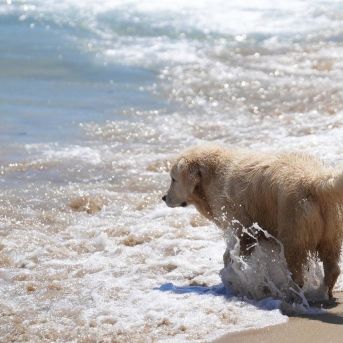 fotonoticia_20250903173422_1920