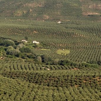 fotonoticia_20250904124945_1920