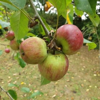 fotonoticia_20250904191725_1920