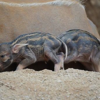 fotonoticia_20250908172939_1920 fotonoticia_20250908172939_1920