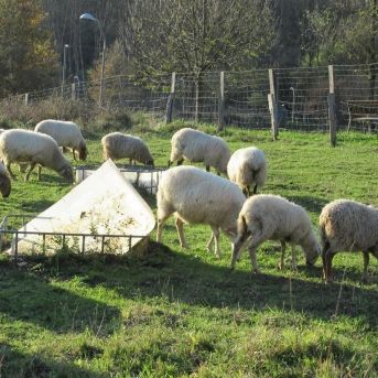 fotonoticia_20250910175150_1920