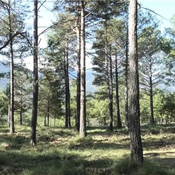 fotonoticia_20250912132613_1920 fotonoticia_20250912132613_1920