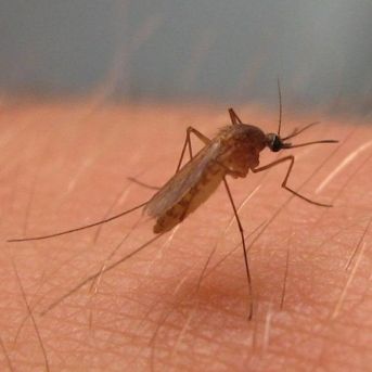 fotonoticia_20250912145013_1920 fotonoticia_20250912145013_1920