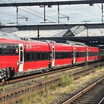 fotonoticia_20250912161837_1920