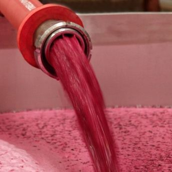 fotonoticia_20250915120135_1920 fotonoticia_20250915120135_1920