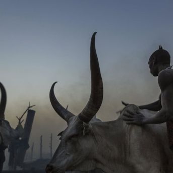 fotonoticia_20250915211732_1920