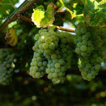 fotonoticia_20250917125345_1920