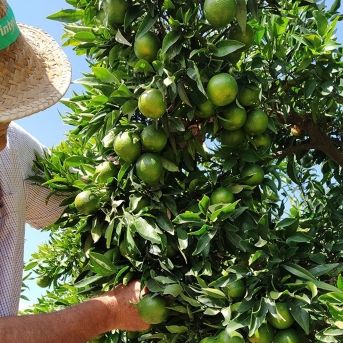 fotonoticia_20250917130229_1920 fotonoticia_20250917130229_1920