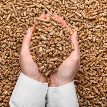 fotonoticia_20250918124631_1920 fotonoticia_20250918124631_1920