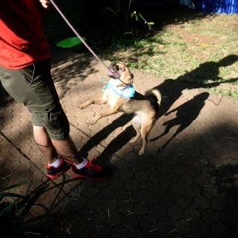 fotonoticia_20251018174643_1920 fotonoticia_20251018174643_1920