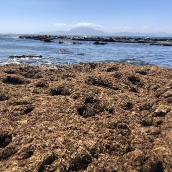 fotonoticia_20251019105949_1920