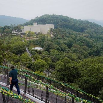 fotonoticia_20251019132943_1920 fotonoticia_20251019132943_1920