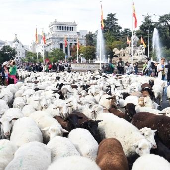 fotonoticia_20251019155515_1920 fotonoticia_20251019155515_1920