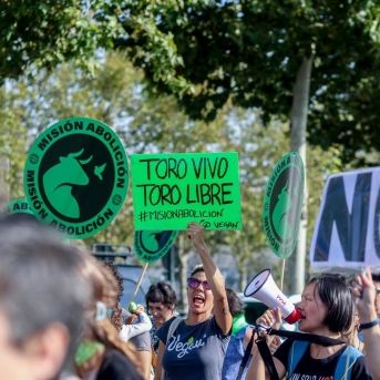 fotonoticia_20250920090545_1920 fotonoticia_20250920090545_1920