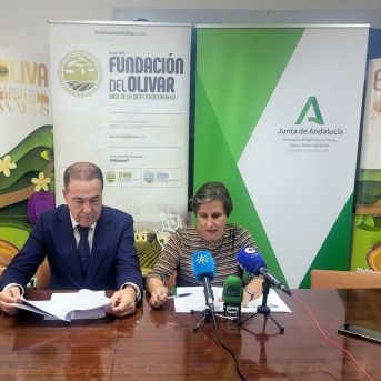 fotonoticia_20251020133831_1920