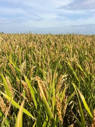 fotonoticia_20251020133331_1920