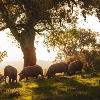 fotonoticia_20251020162543_1920 fotonoticia_20251020162543_1920