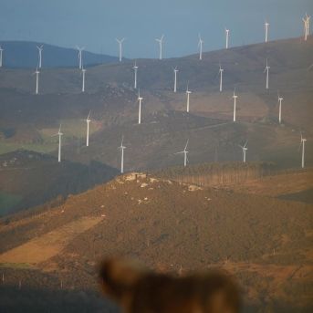 fotonoticia_20251020172129_1920