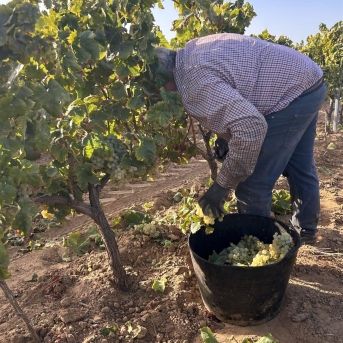 fotonoticia_20251020172610_1920