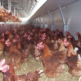 fotonoticia_20251020190838_1920