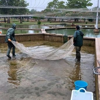 fotonoticia_20251021101213_1920