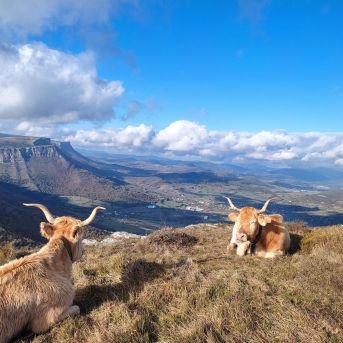 fotonoticia_20251021130842_1920