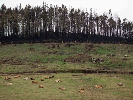 fotonoticia_20251021174030_1920