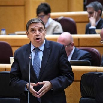 fotonoticia_20251021190818_1920 fotonoticia_20251021190818_1920