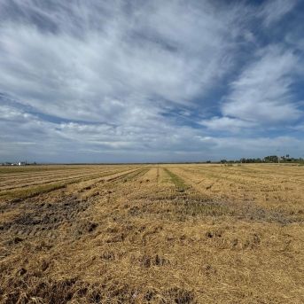 fotonoticia_20250924142427_1920 fotonoticia_20250924142427_1920