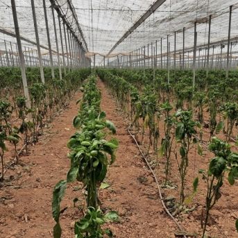 fotonoticia_20251022105403_1920