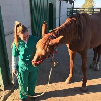 fotonoticia_20251022111111_1920