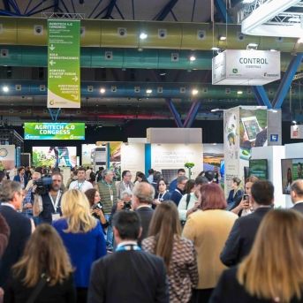 fotonoticia_20250924182952_1920