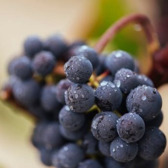 fotonoticia_20250925143711_1920