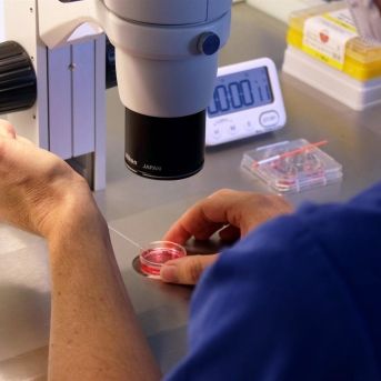 fotonoticia_20251023114139_1920 fotonoticia_20251023114139_1920