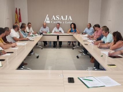 fotonoticia_20250925172140_1920