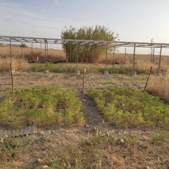 fotonoticia_20251023124747_1920-1