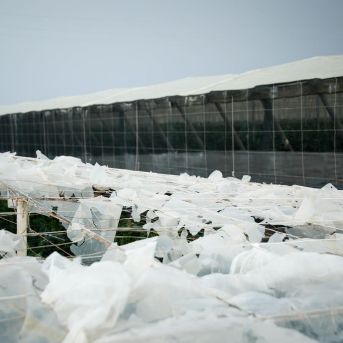 fotonoticia_20250925183200_1920 fotonoticia_20250925183200_1920