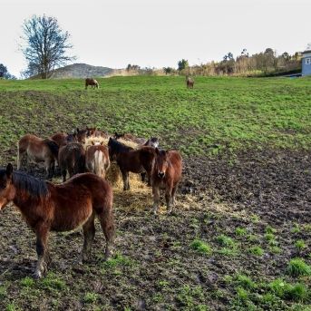 fotonoticia_20250926111103_1920