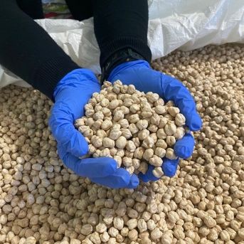 fotonoticia_20251023170644_1920